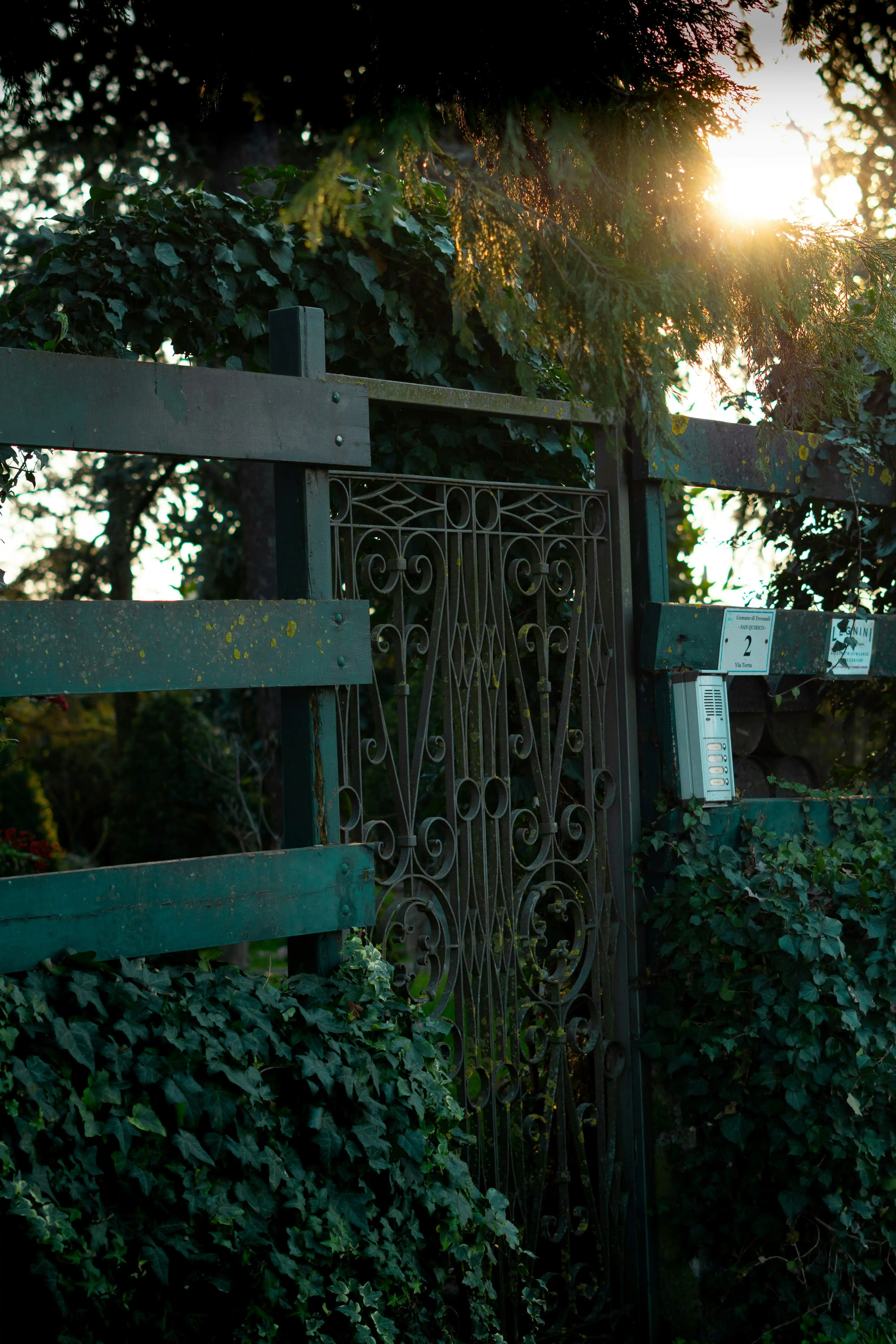 Кованые ворота с элементами художественной ковки